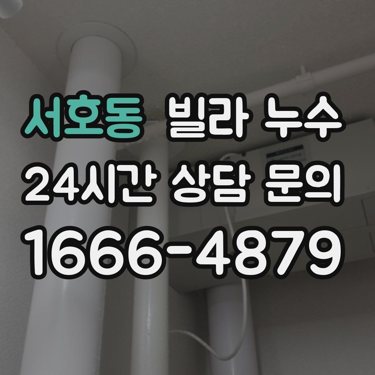 서호동 빌라 누수 벽지 이음새가 벌어지면 누수를 의심해보세요