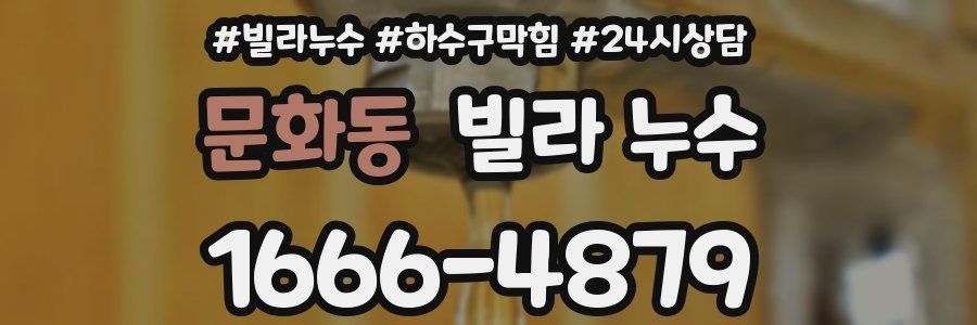 문화동 빌라 누수