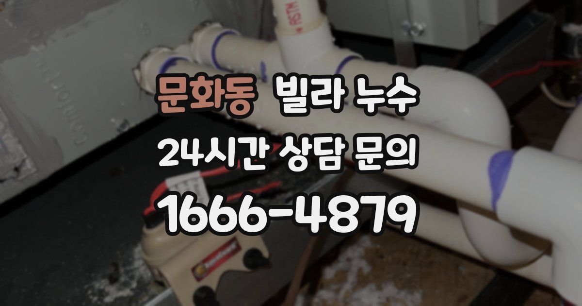 문화동 빌라 누수