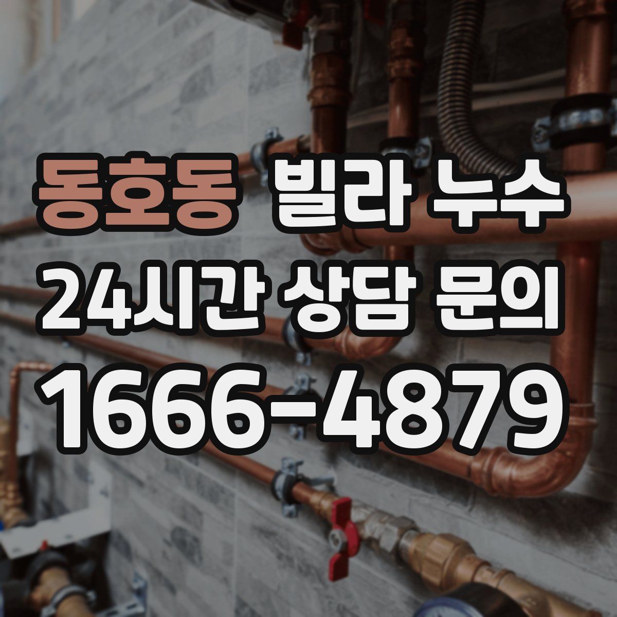 동호동 빌라 누수