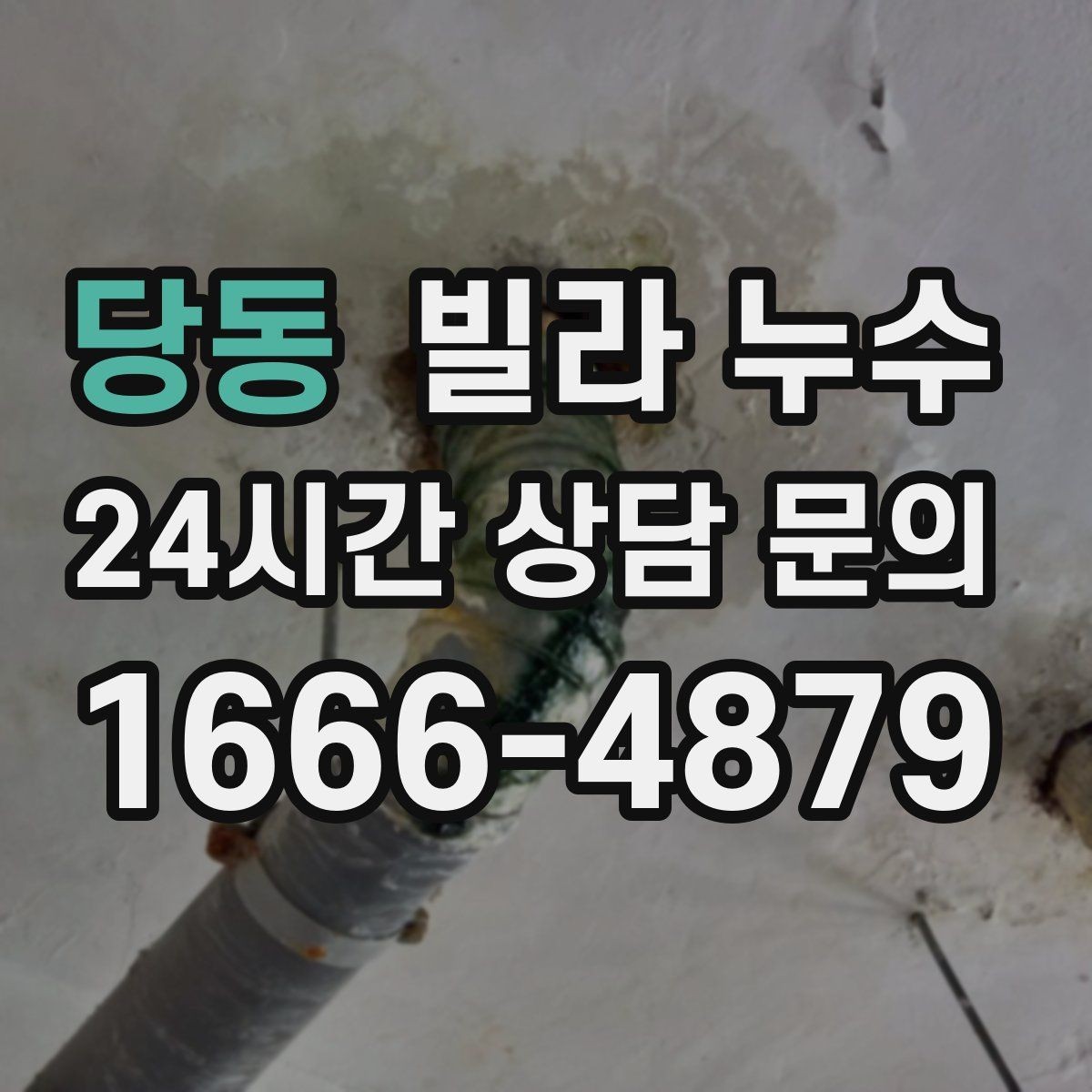 당동 빌라 누수 바닥이 축축해졌다면 원인 점검이 필요합니다