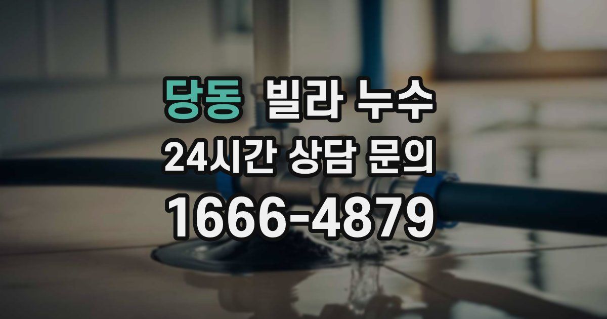 당동 빌라 누수