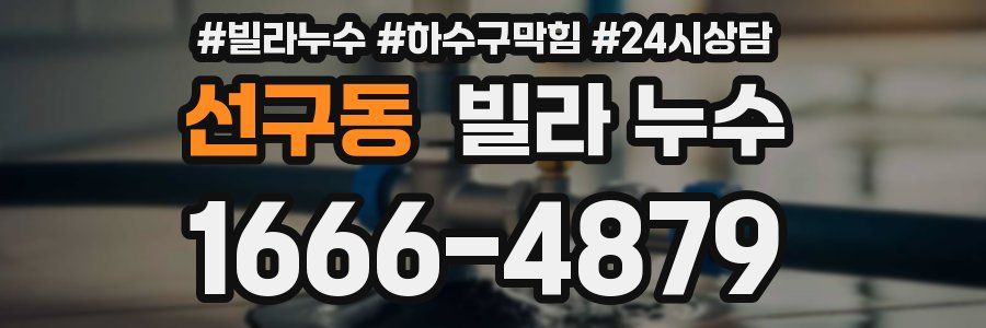 선구동 빌라 누수