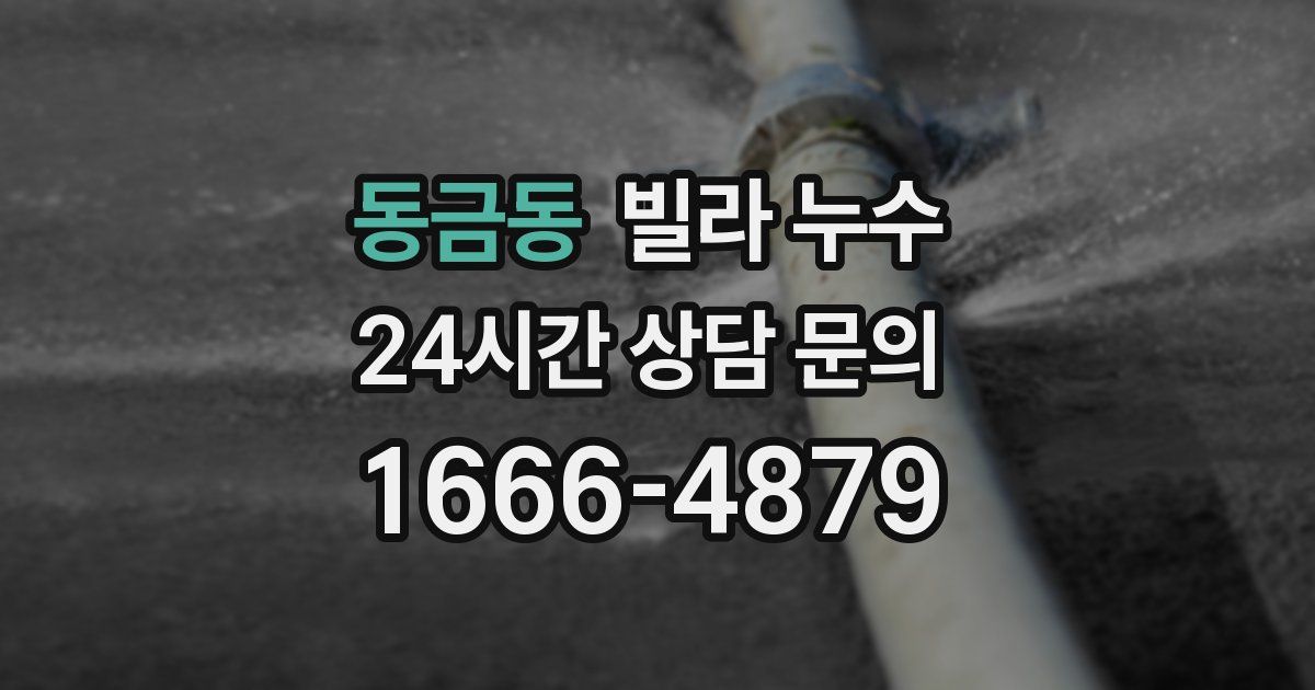 동금동 빌라 누수