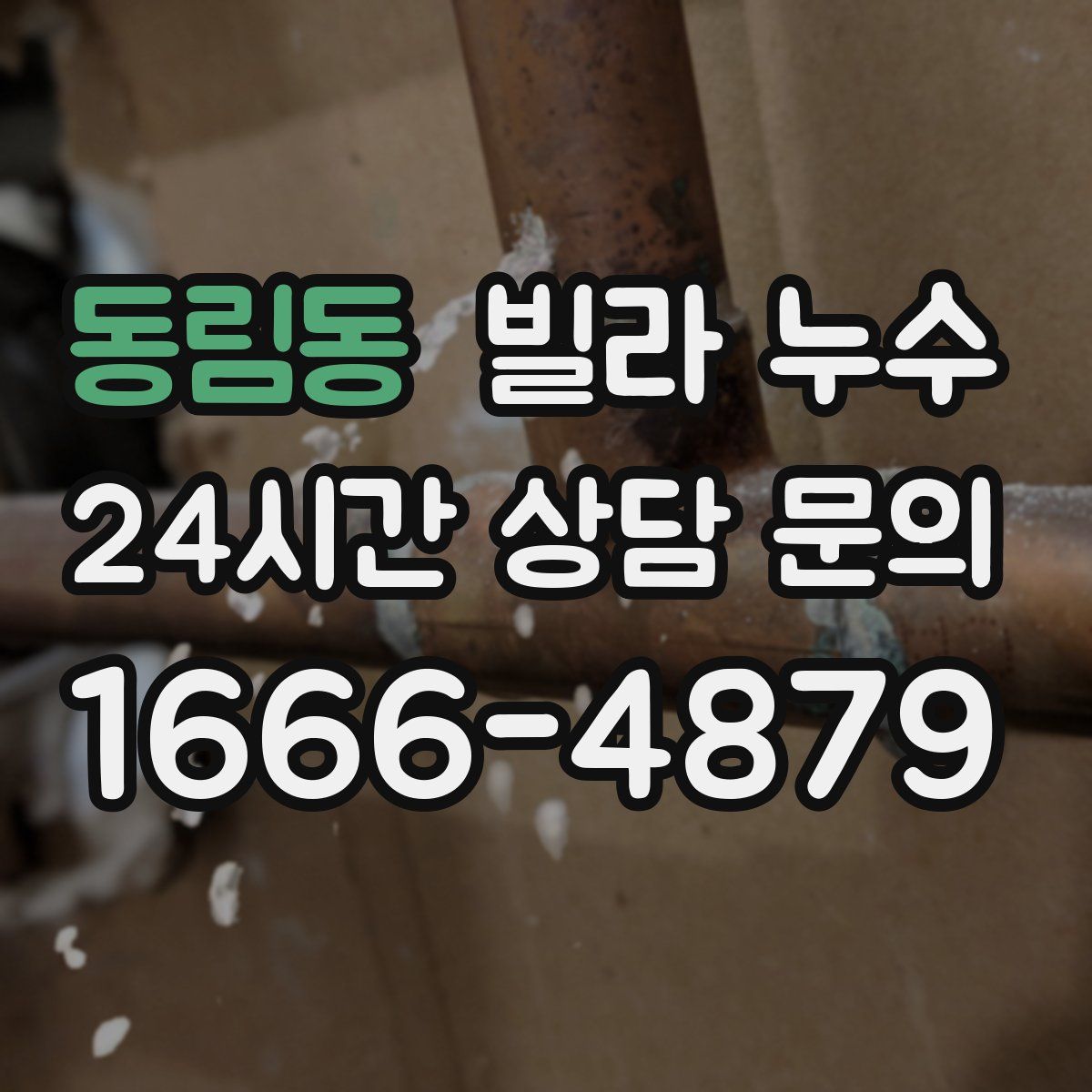 동림동 빌라 누수