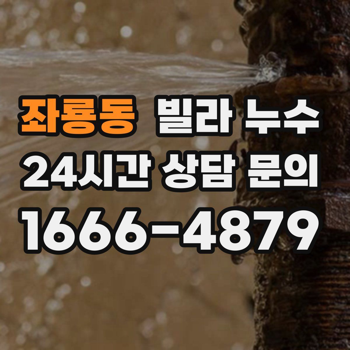 좌룡동 빌라 누수