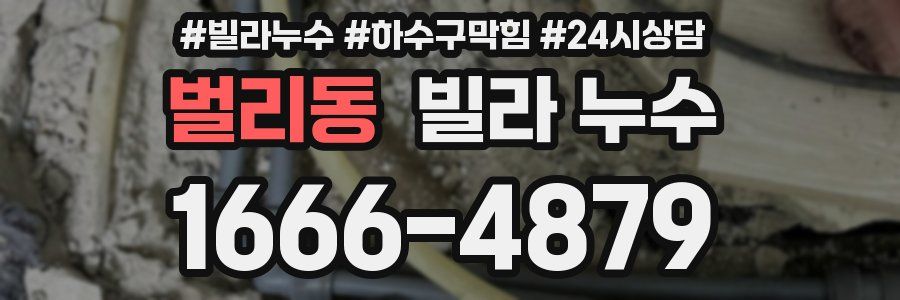 벌리동 빌라 누수