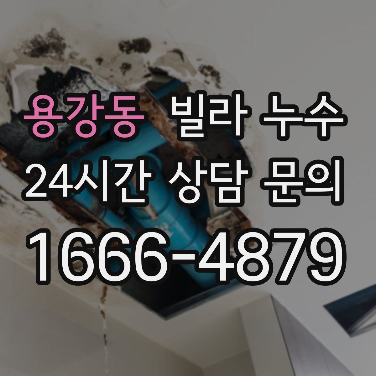 용강동 빌라 누수