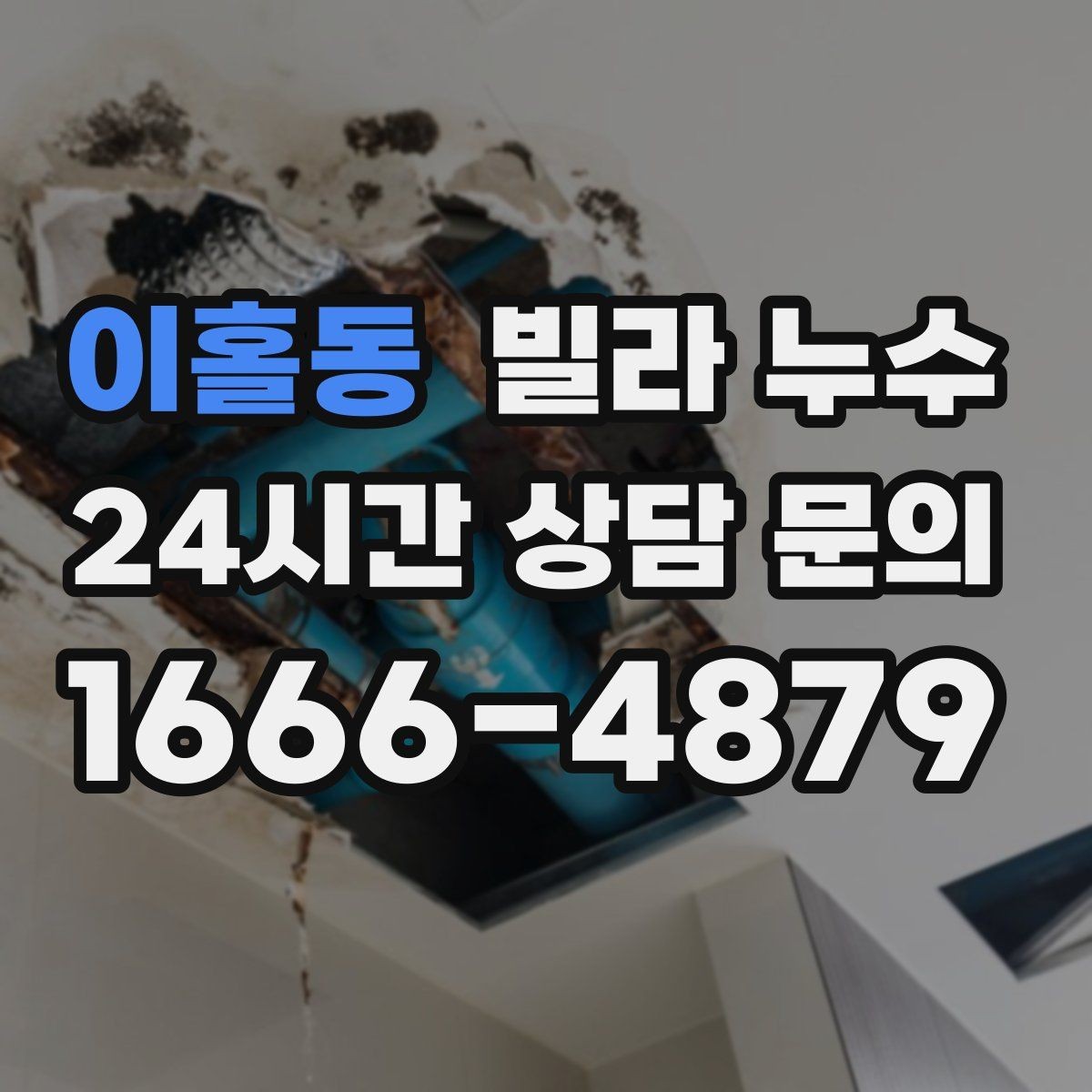 이홀동 빌라 누수 섣불리 도배부터 하면 재발할 수 있어요