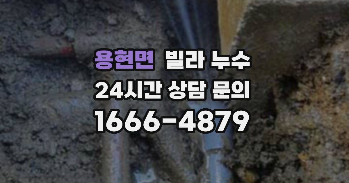 용현면 빌라 누수