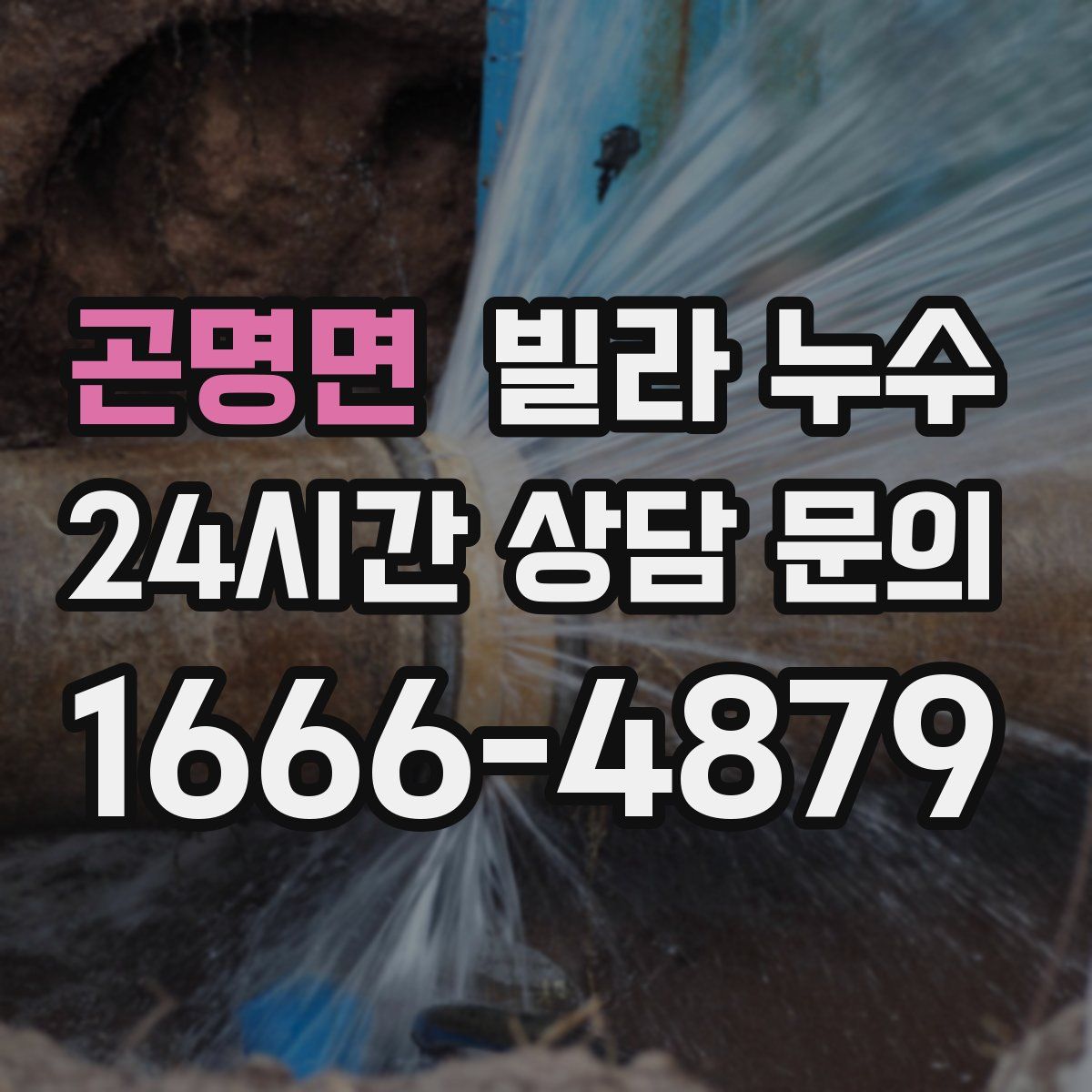 곤명면 빌라 누수