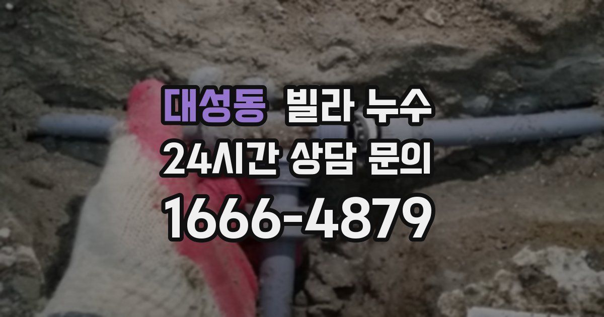 대성동 빌라 누수