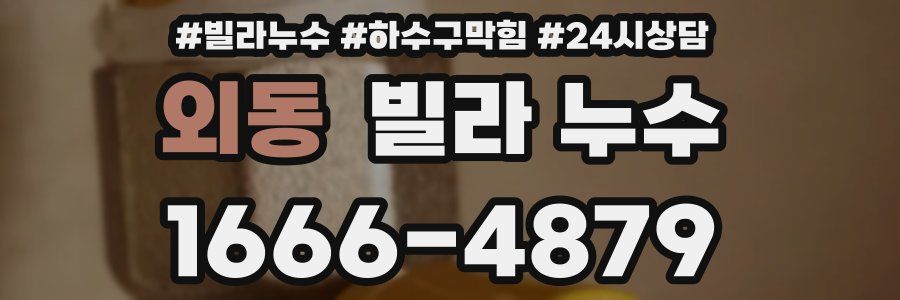 외동 빌라 누수