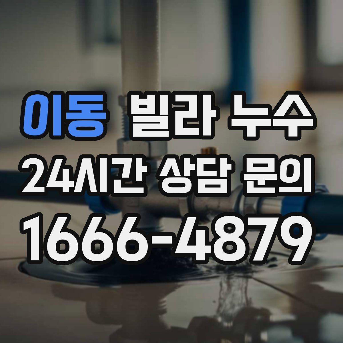이동 빌라 누수 벽 모서리 곰팡이가 늘면 확인할 곳