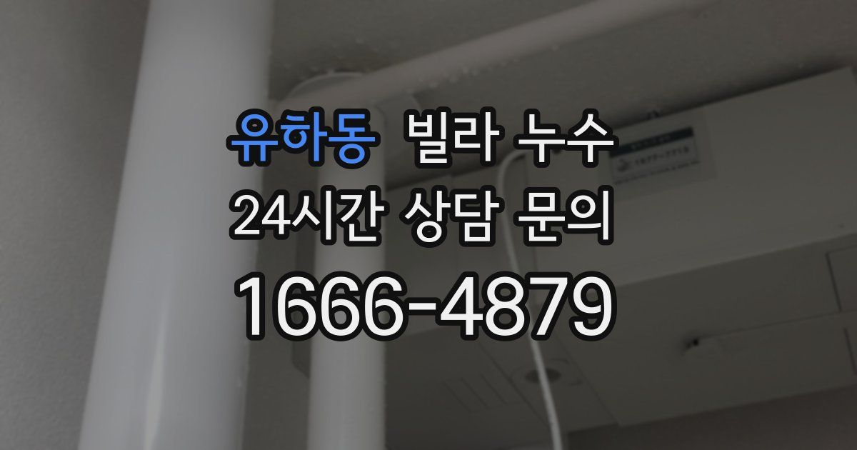 유하동 빌라 누수