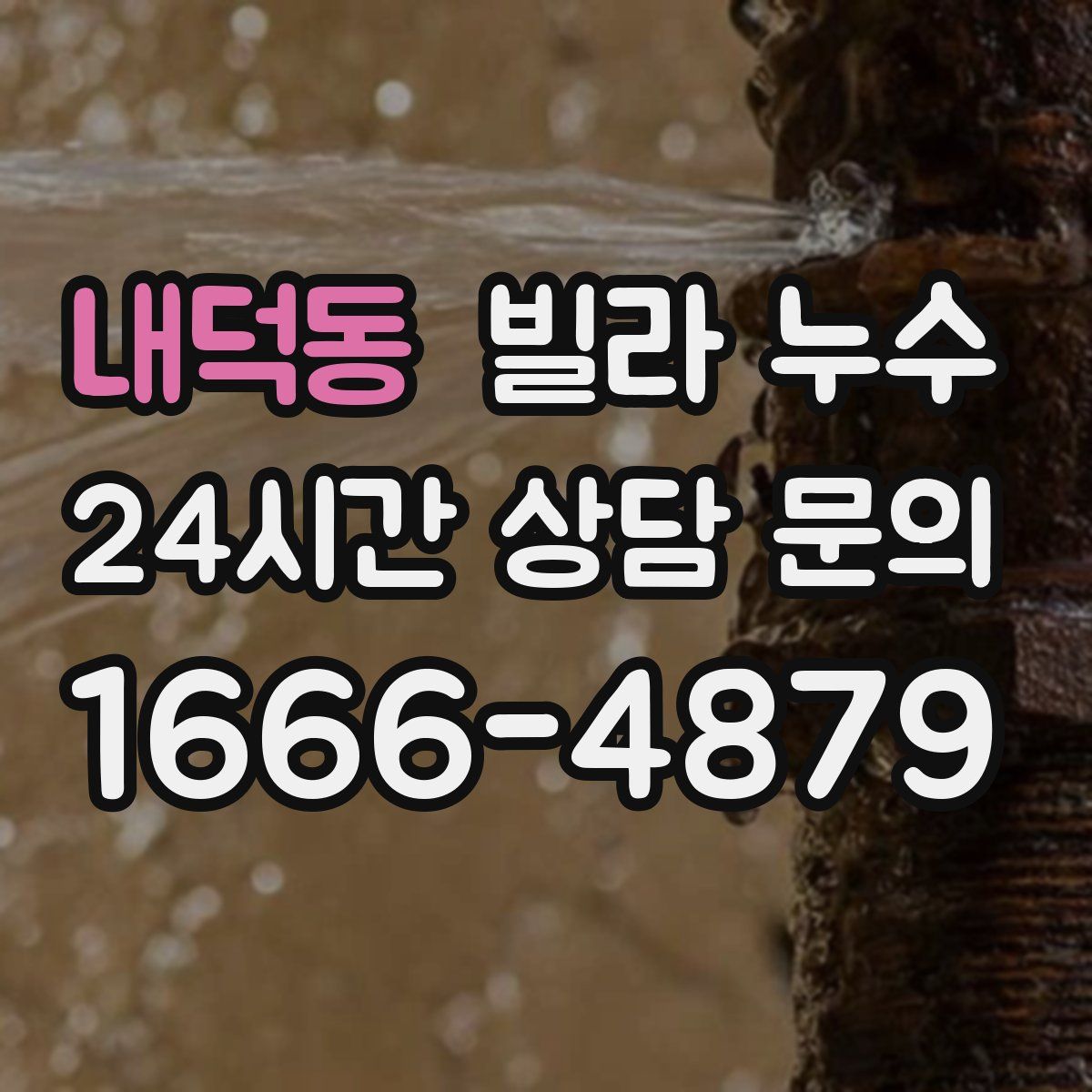 내덕동 빌라 누수