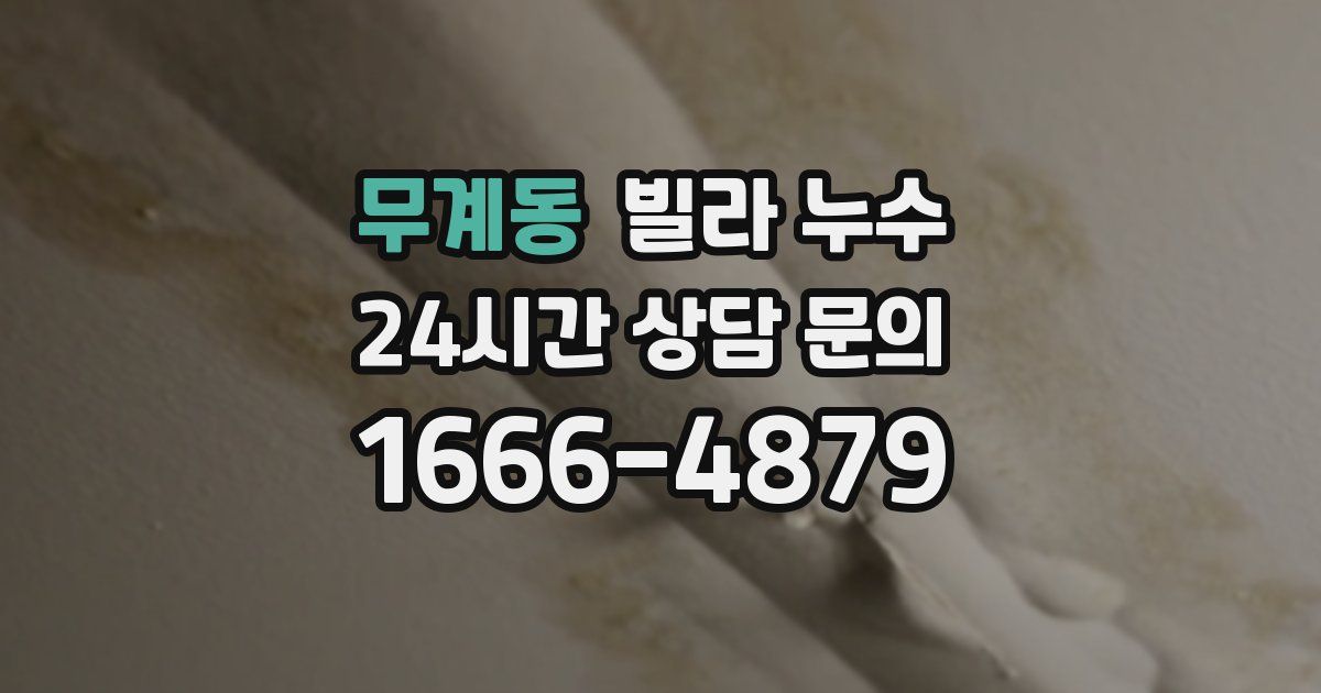 무계동 빌라 누수