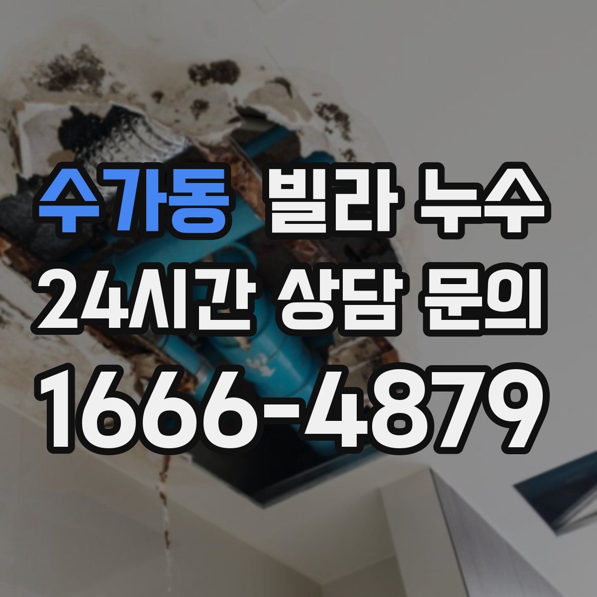 수가동 빌라 누수