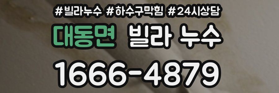 대동면 빌라 누수