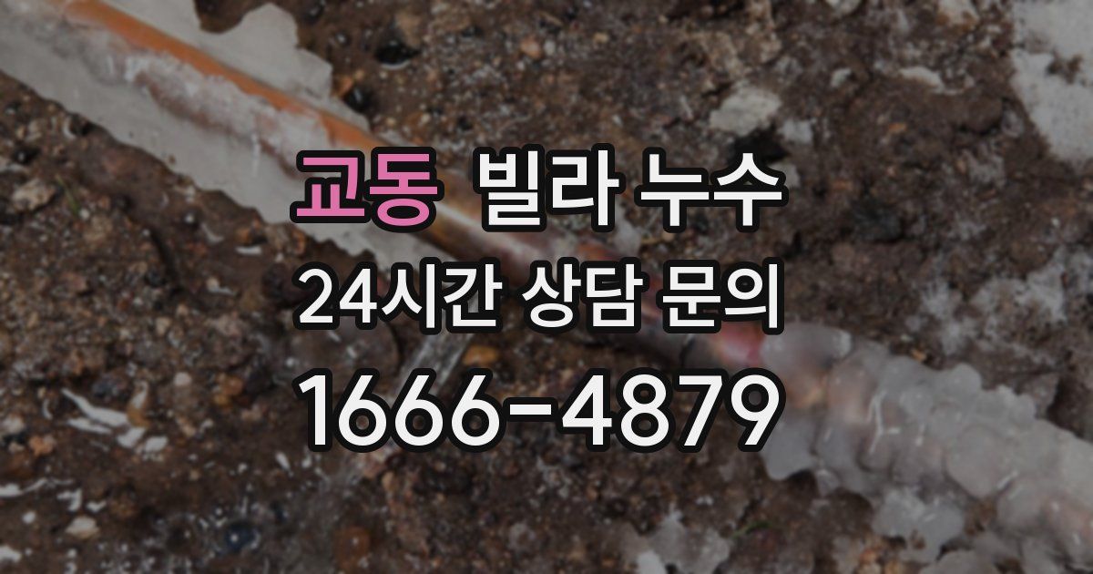 교동 빌라 누수