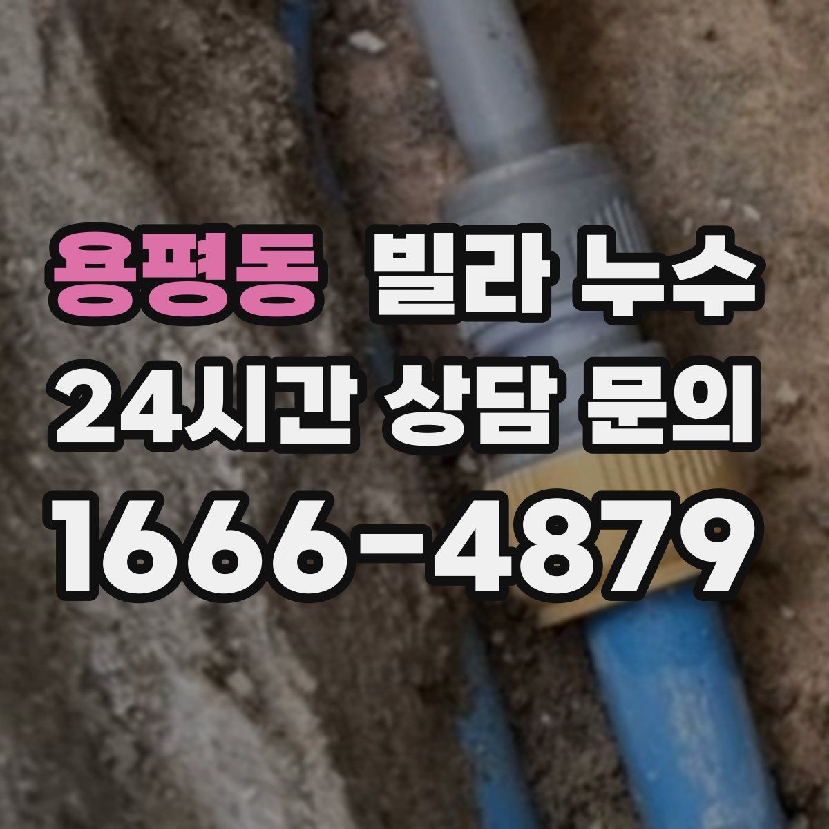 용평동 빌라 누수 세탁기 호스 주변 누수로 바닥이 젖는 경우