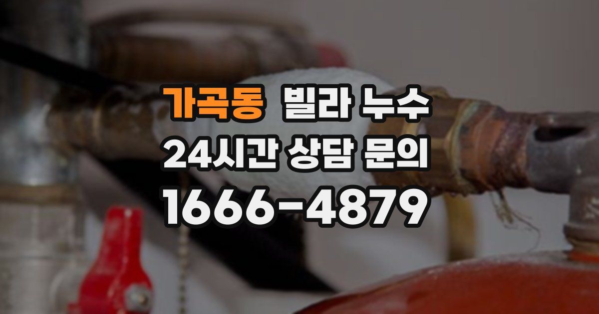 가곡동 빌라 누수