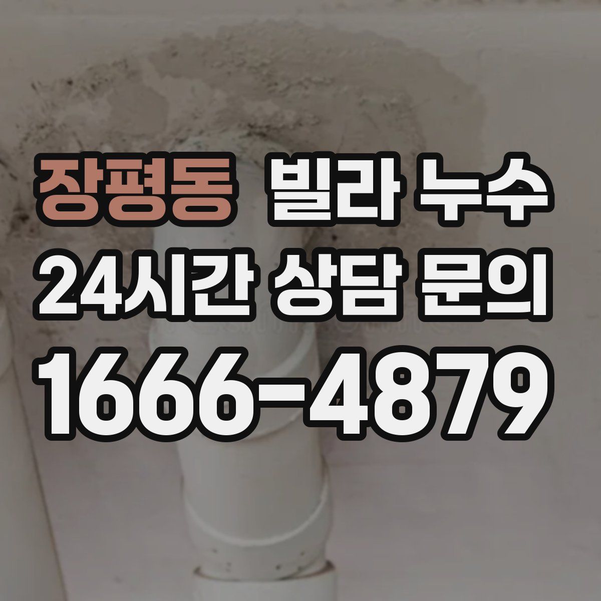 장평동 빌라 누수