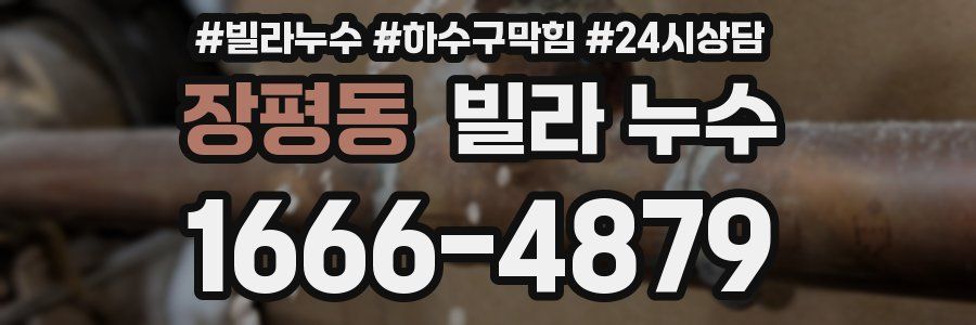 장평동 빌라 누수