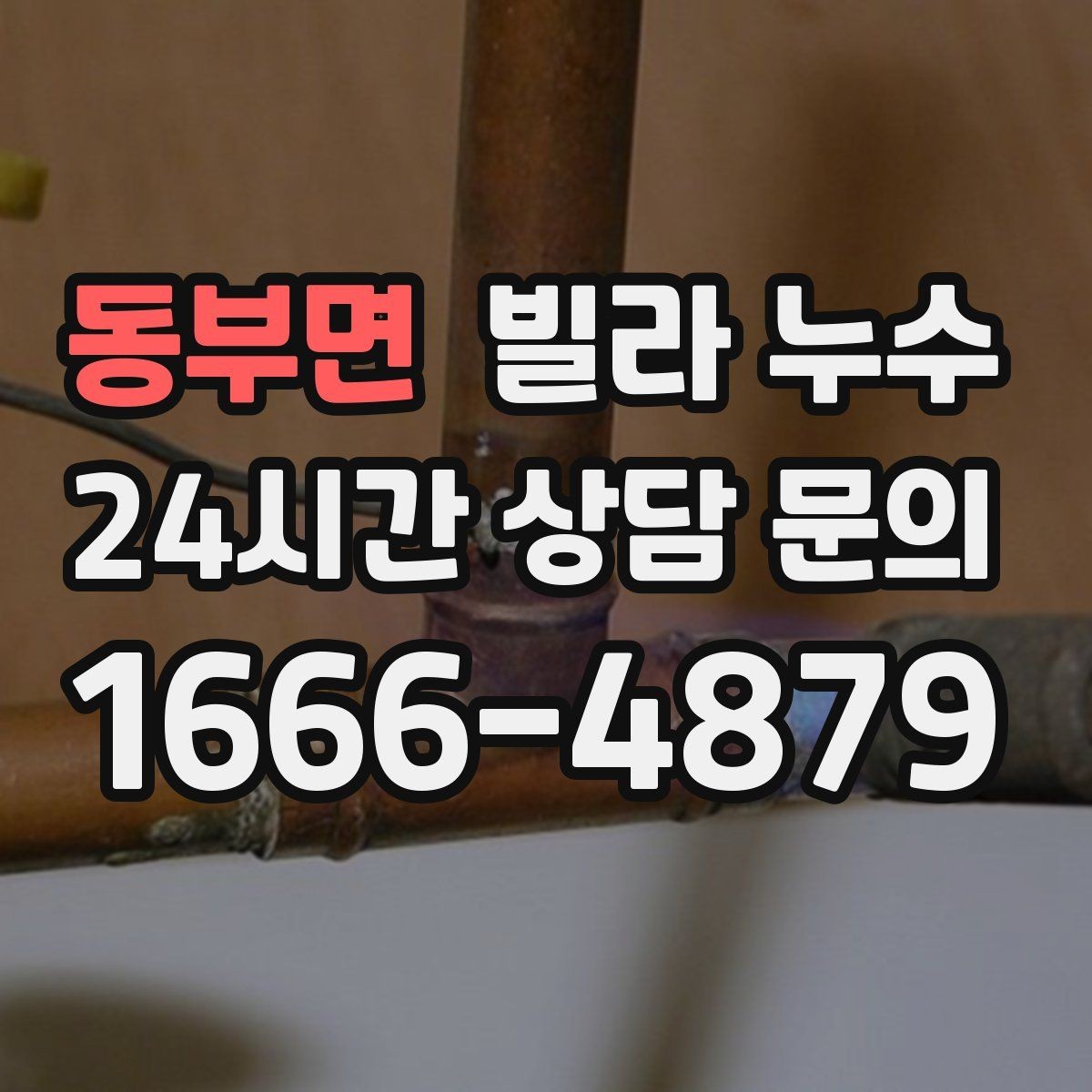 동부면 빌라 누수 우편함 주변이 젖는다면 빗물 유입을 의심