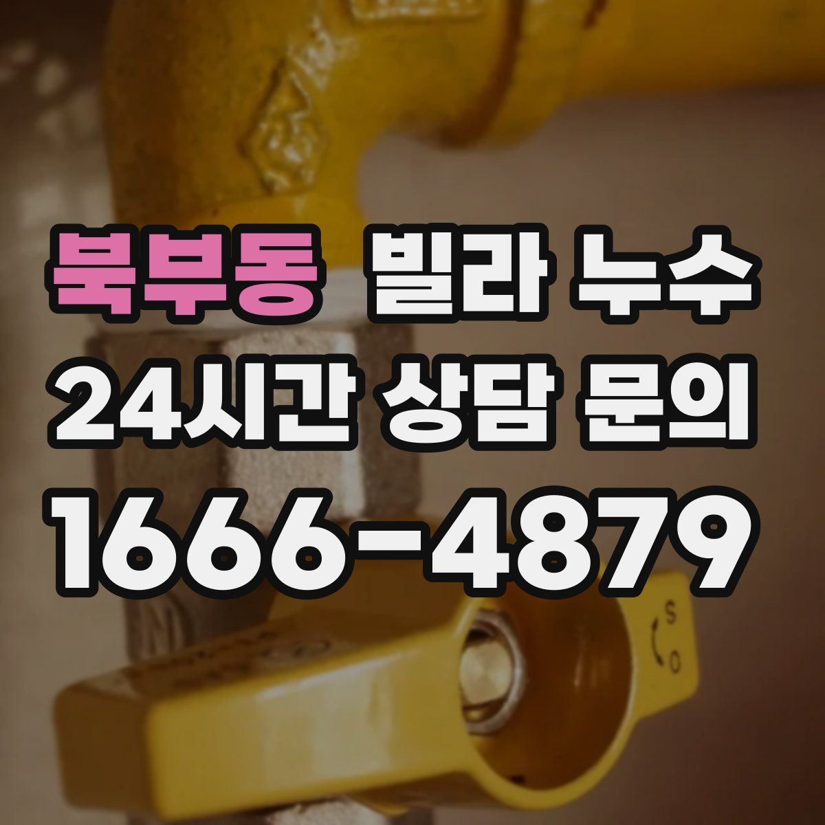 북부동 빌라 누수