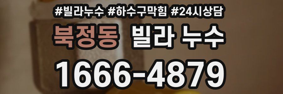 북정동 빌라 누수