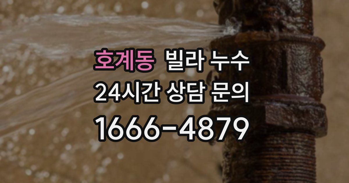 호계동 빌라 누수