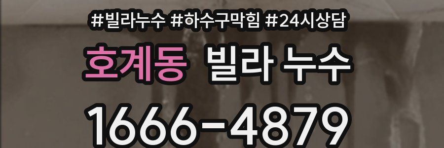 호계동 빌라 누수