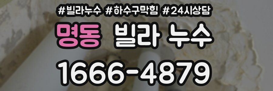 명동 빌라 누수