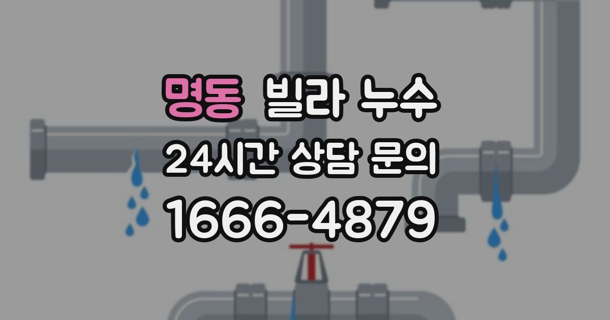 명동 빌라 누수