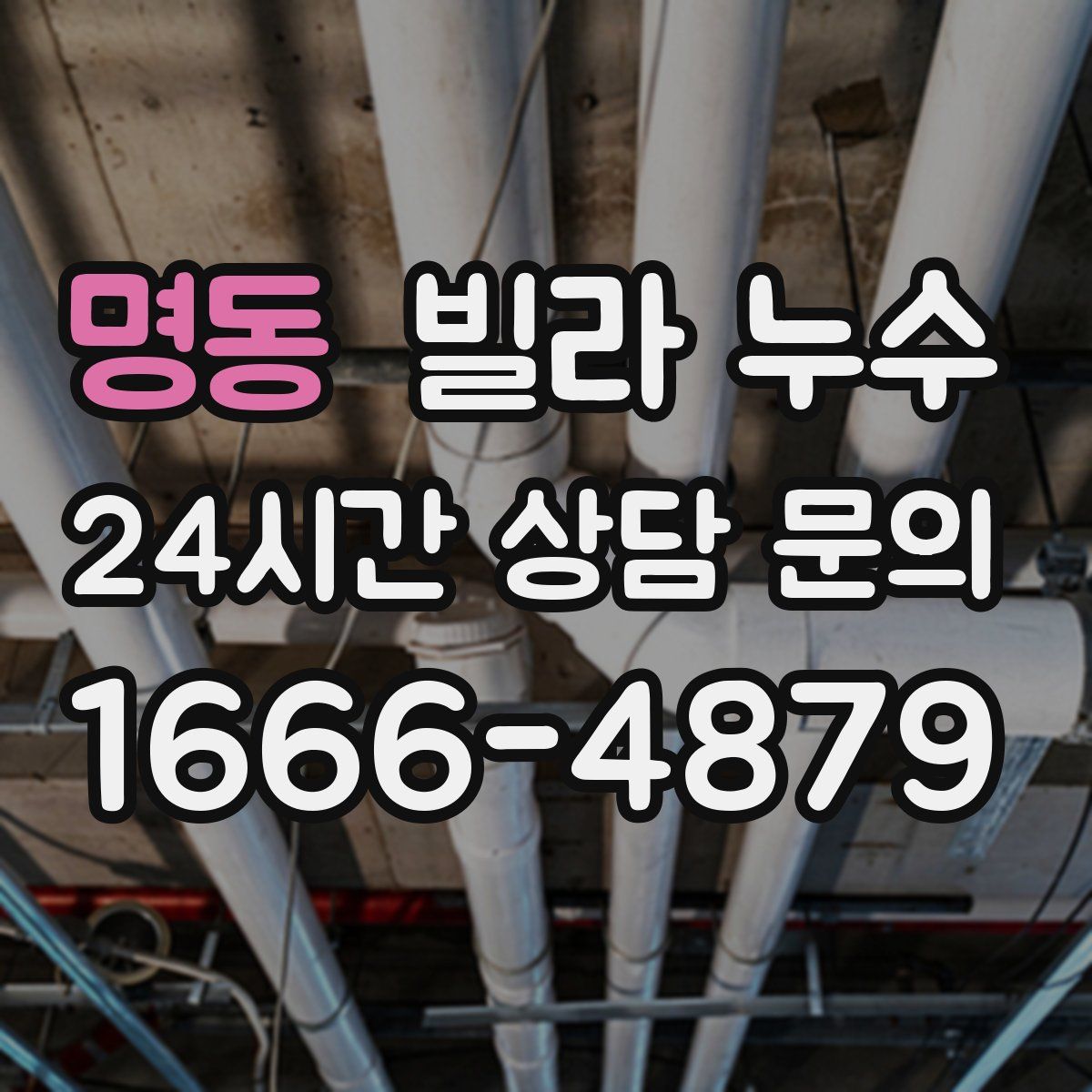 명동 빌라 누수