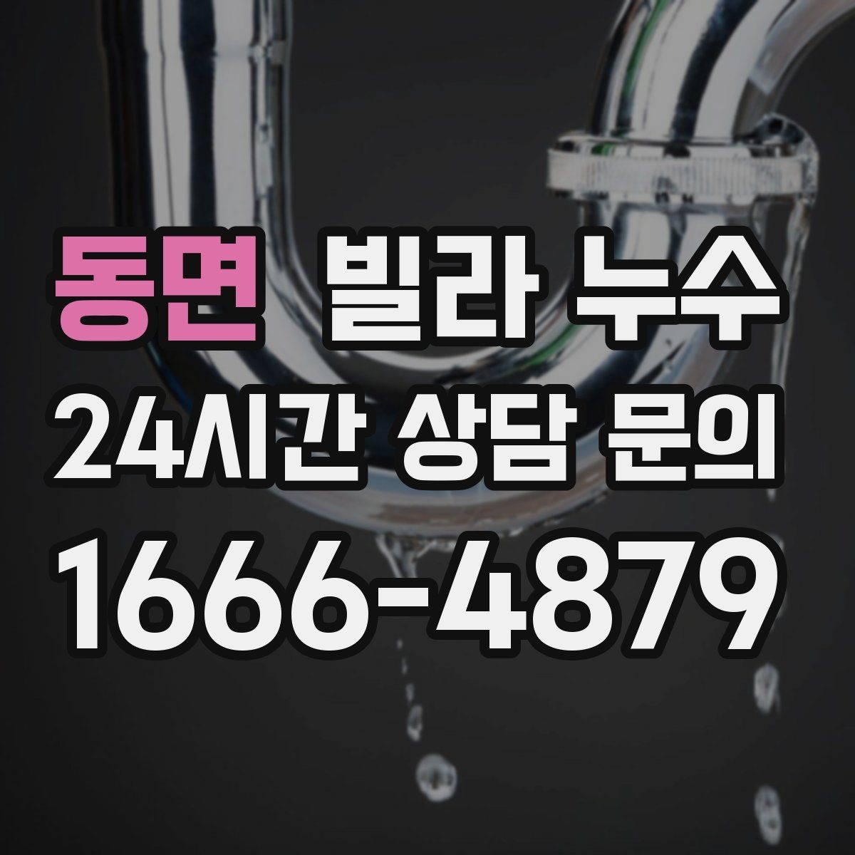 동면 빌라 누수 우편함 주변이 젖는다면 빗물 유입 가능성