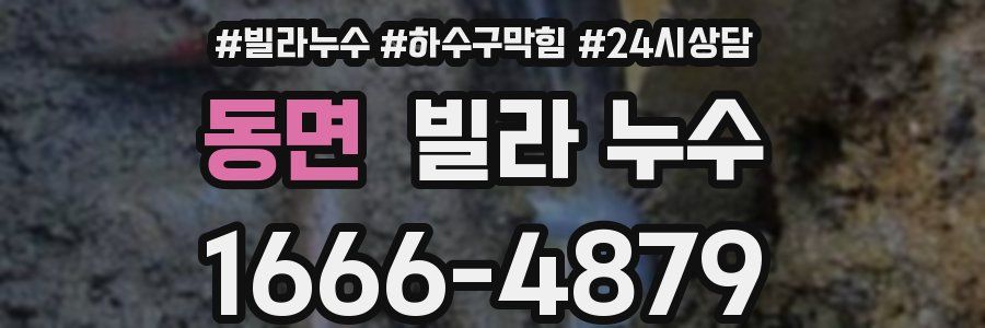 동면 빌라 누수