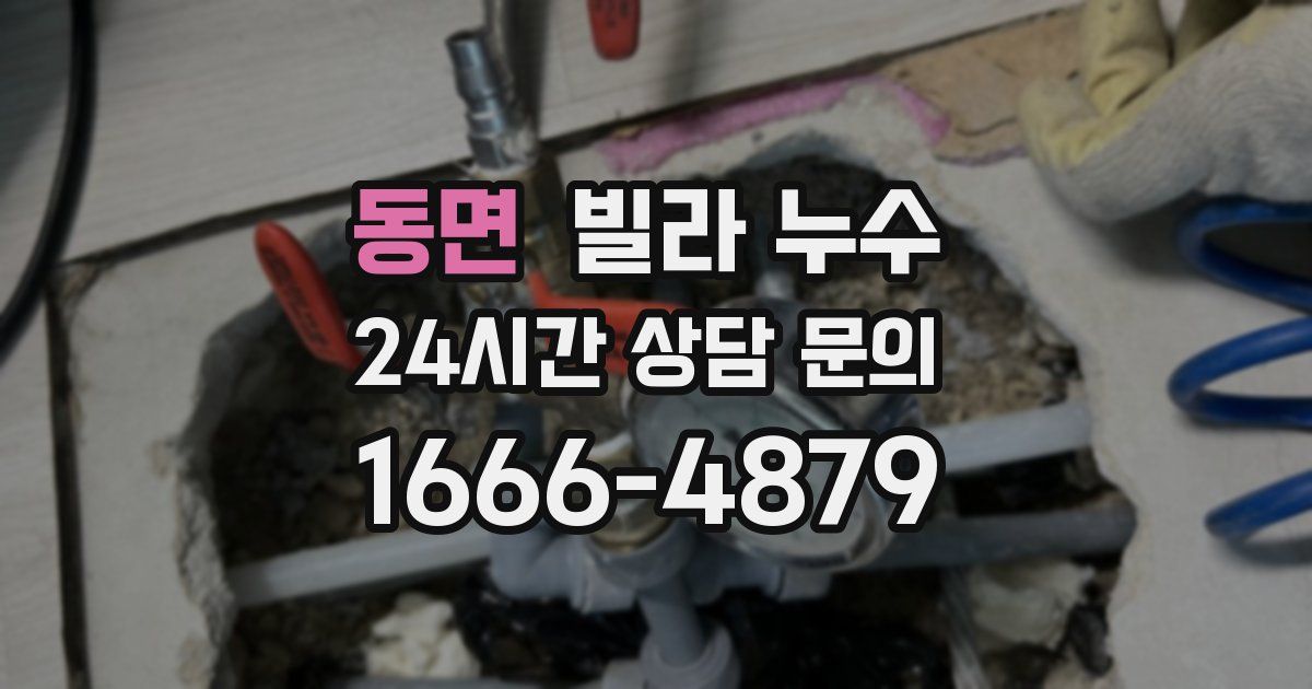 동면 빌라 누수