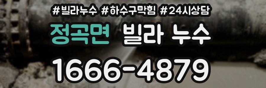 정곡면 빌라 누수