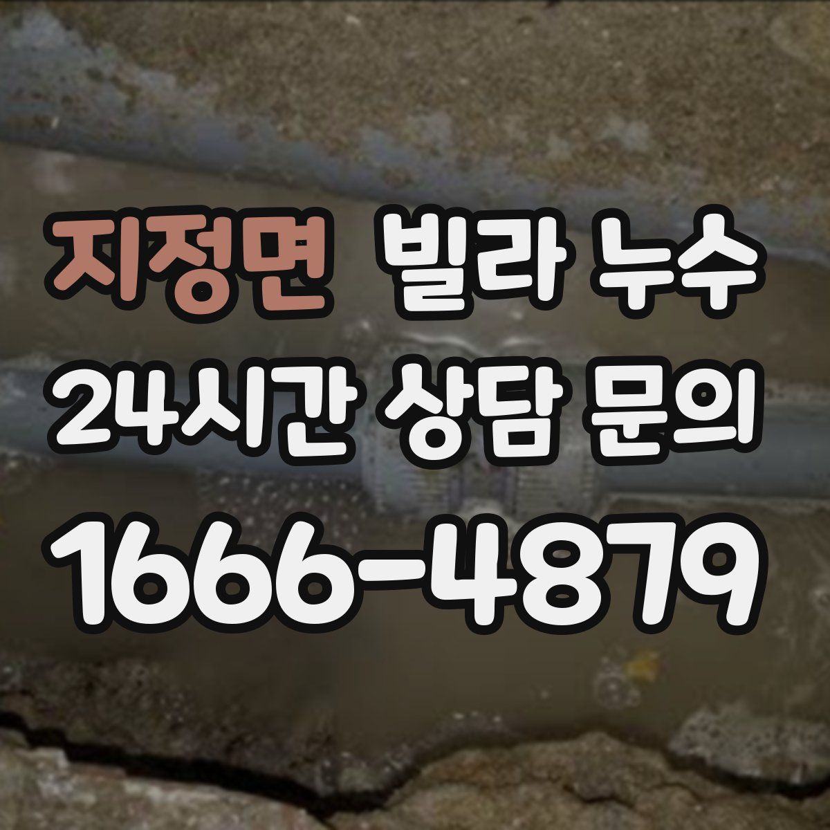 지정면 빌라 누수