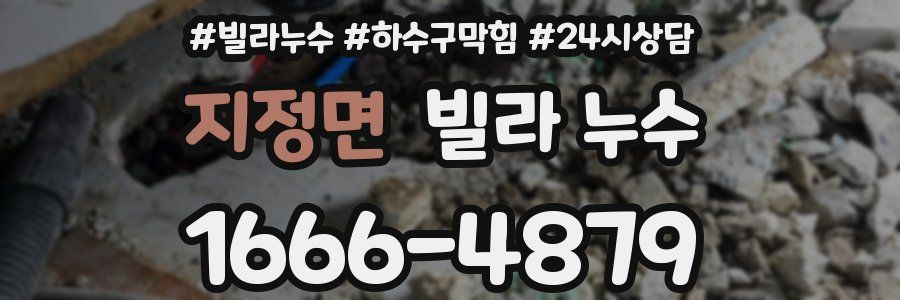 지정면 빌라 누수