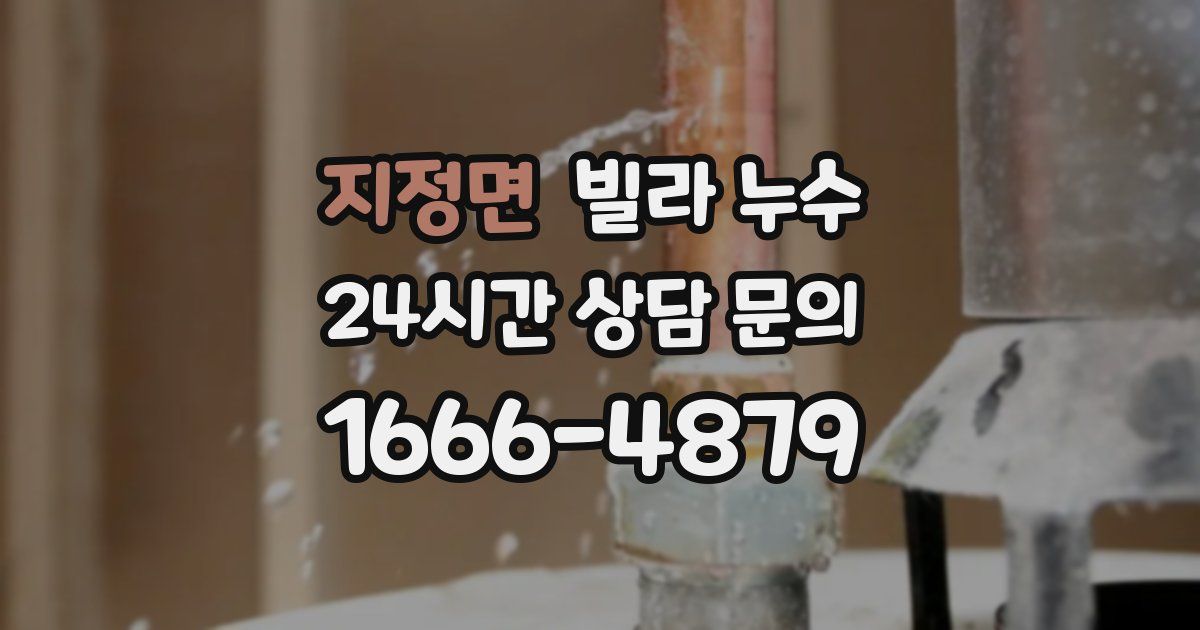 지정면 빌라 누수