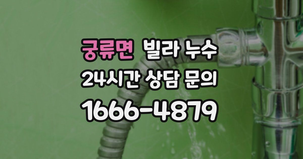 궁류면 빌라 누수