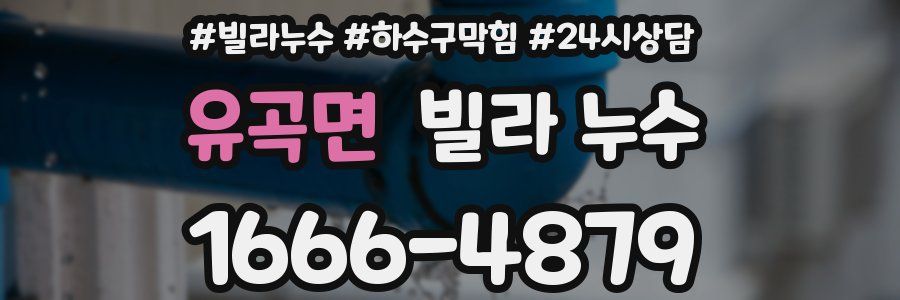 유곡면 빌라 누수