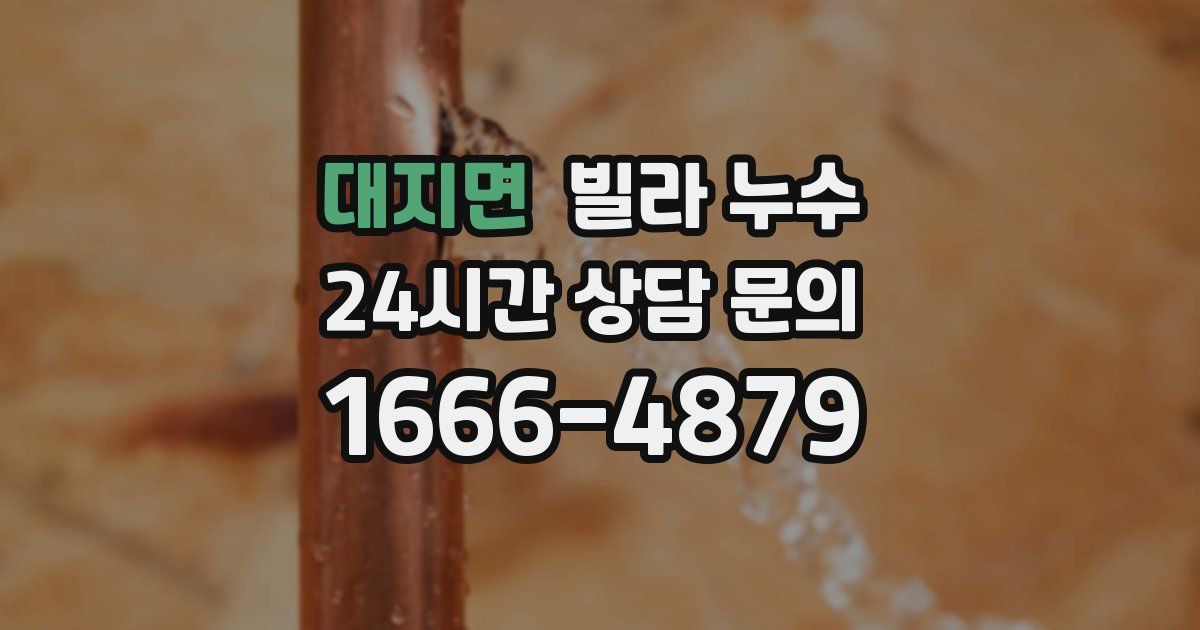 대지면 빌라 누수