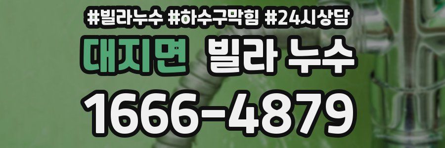 대지면 빌라 누수