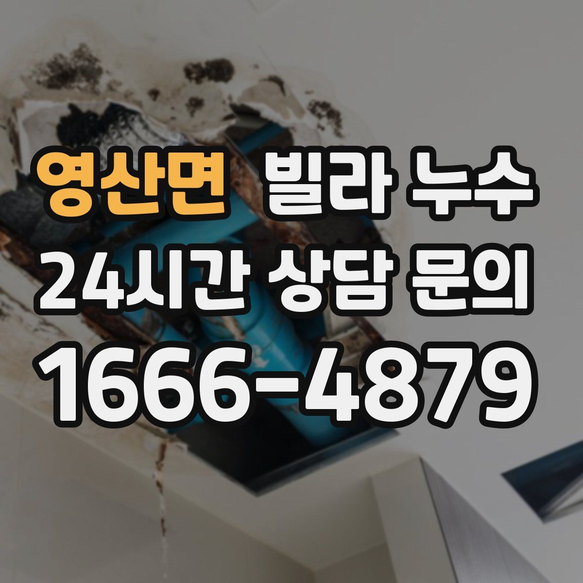 영산면 빌라 누수