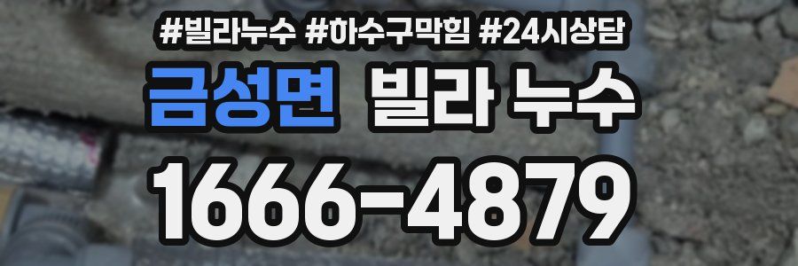 금성면 빌라 누수