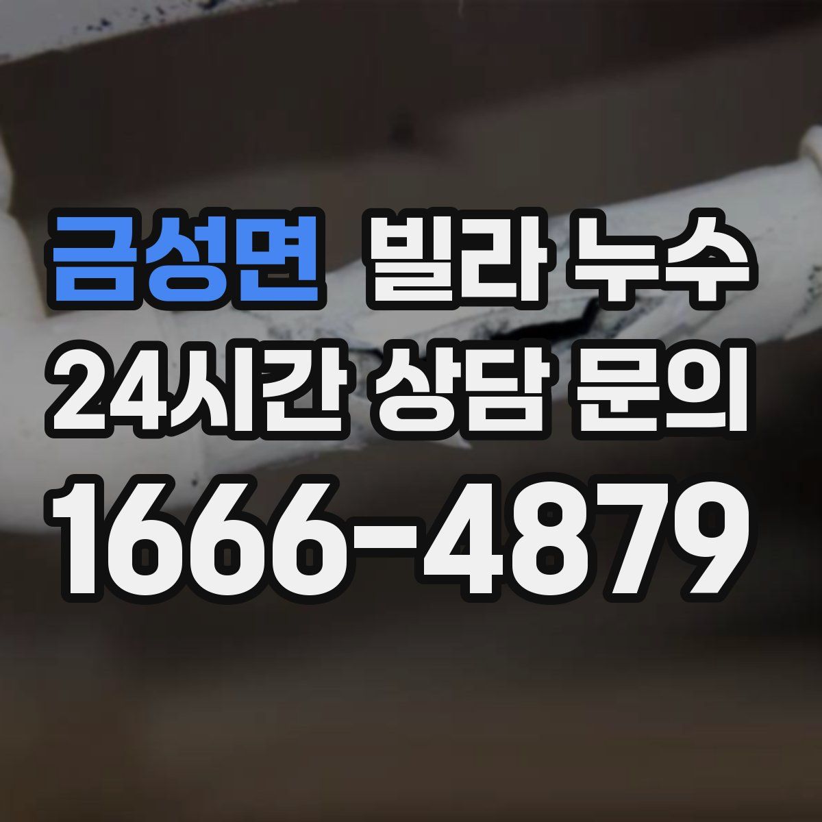 금성면 빌라 누수